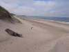 Udsigt over vand