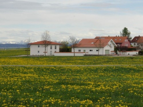 house-gallery