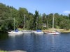 Område