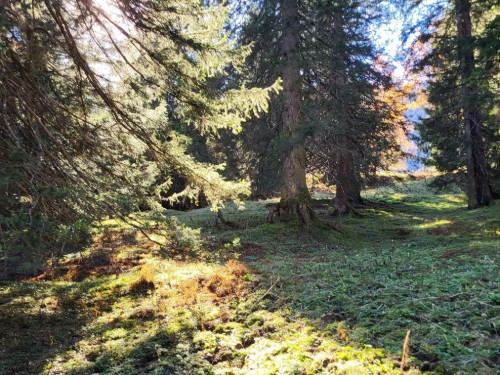 house-gallery