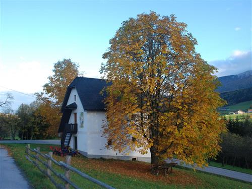 house-gallery