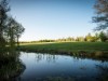 Blick über's Wasser