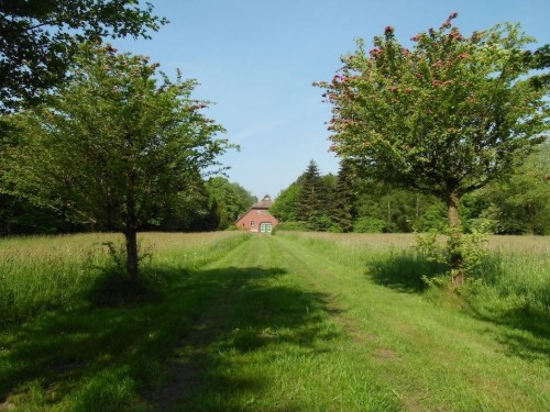 house-gallery