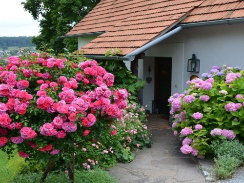 house-gallery