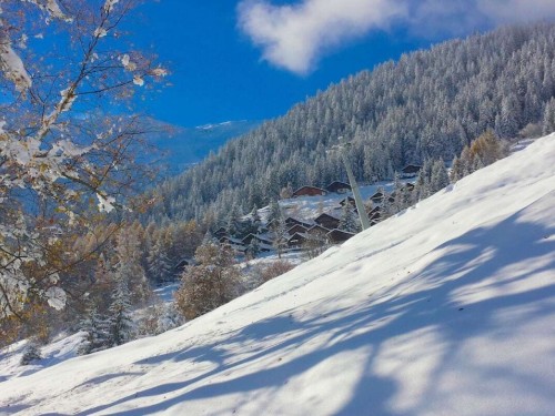 house-gallery