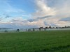 Aussen