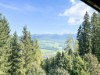 Aussen