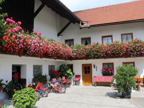 house-gallery