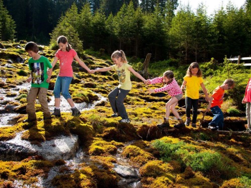 house-gallery