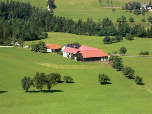 house-gallery