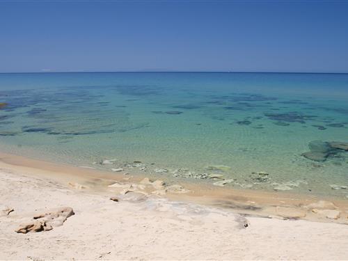 Emne nr.: 140-IGN025