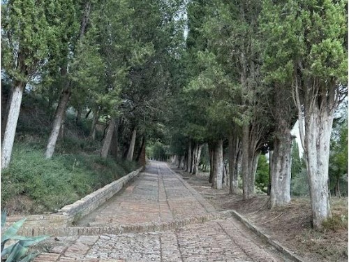 house-gallery