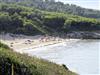 Ort