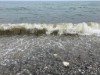 Blick über's Wasser