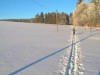Aussen
