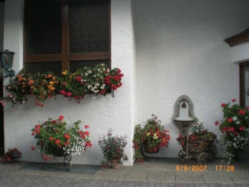 house-gallery