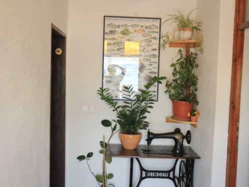 house-gallery