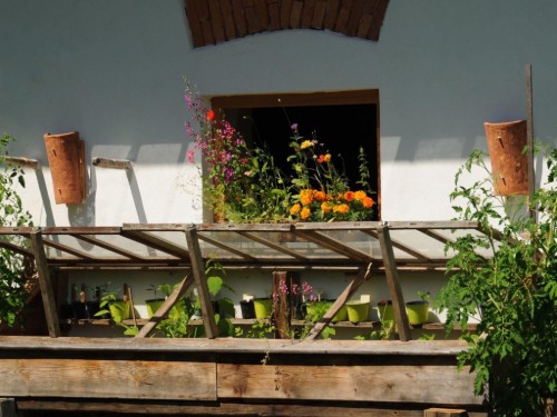 house-gallery