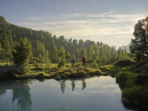 house-gallery