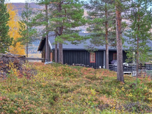 house-gallery