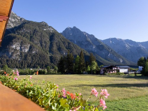 house-gallery