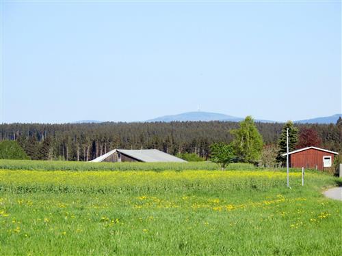 house-gallery