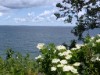 Udsigt over vand