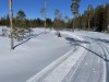 Innen