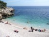 Ort