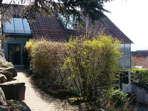 house-gallery