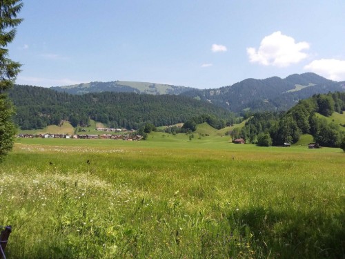 house-gallery