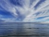 Blick über's Wasser