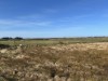 Område