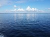 Blick über's Wasser