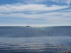 Blick über's Wasser