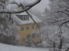Ude