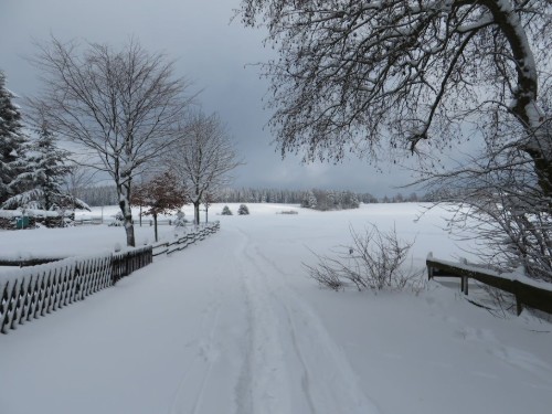 house-gallery