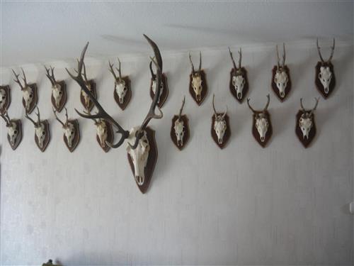 house-gallery