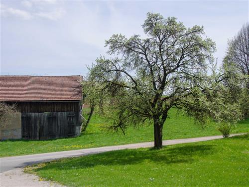 house-gallery