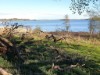 Blick über's Wasser