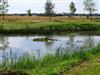 Udsigt over vand