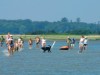 Udsigt over vand