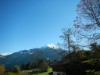 Aussen