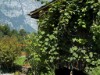 Aussen