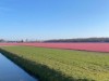 Aussen