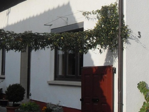 house-gallery