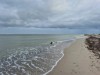 Blick über's Wasser