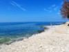 Ort