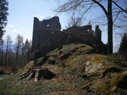 house-gallery