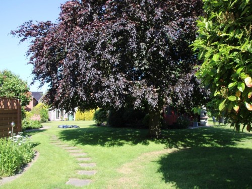 house-gallery